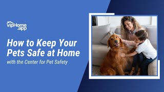 How to Keep Your Pets Safe at Home with the Center for Pet Safety