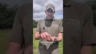 Are These the Best Dog Training Treats? | Boil & Broth Bone Broth Treats Review