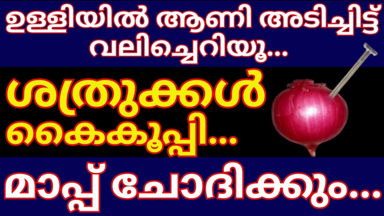 ഉള്ളിയിൽ ആണി തറച്ചിട്ട് ഇതുപോലെ വലിച്ചെറിയൂ... ശത്രുക്കൾ കൈകൂപ്പിക്കൊണ്ട് മാപ്പ് ചോദിക്കും #viral