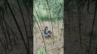1070428採（踩）桂竹筍 #馬達山是山