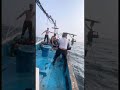 Проверяем ловушки на осьминога! Выход в море! Octopus! Sea!