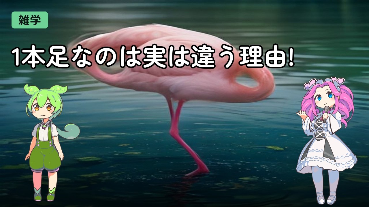 フラミンゴ⑅◡̈ フラミンゴ1本足の秘密 #Shorts - YouTube