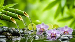 Relaxing Sleep Piano Harmony – Healing Water Sounds to Calm the Mind and Body Energy