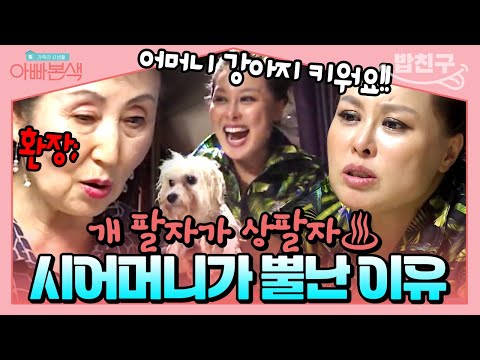 [#밥친구] <strong>홍지민</strong>-시어머니의 갈등⚡ 강아지 키우고 싶은 며느리에 머리 아픈 시어머니😅 | #아빠본색 90회