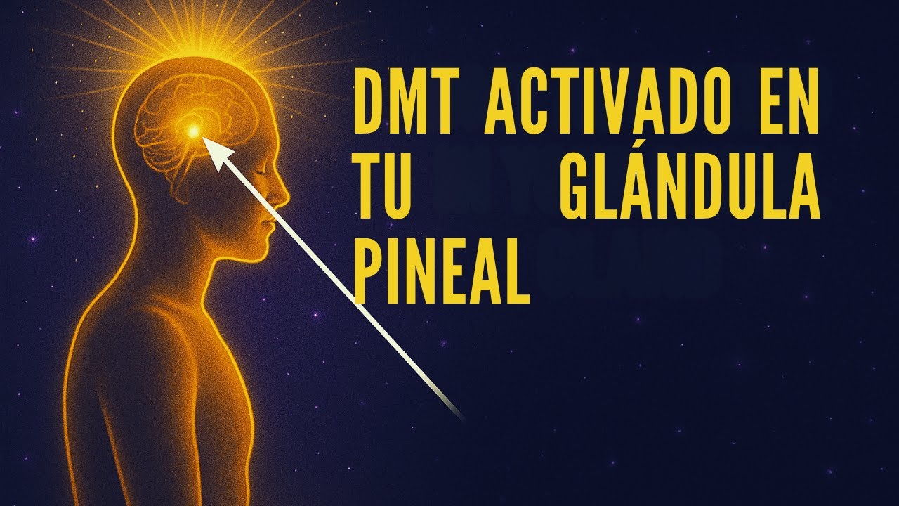 Se liberará DMT en su glándula pineal (después de 3 minutos), eliminará TODA la energía negativa...