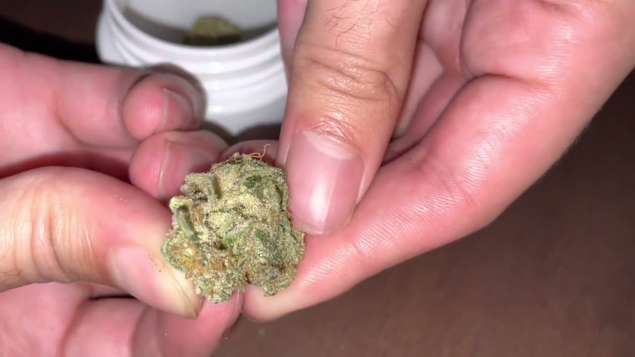 Bud breakdown. Black tuna from trulieve,FL