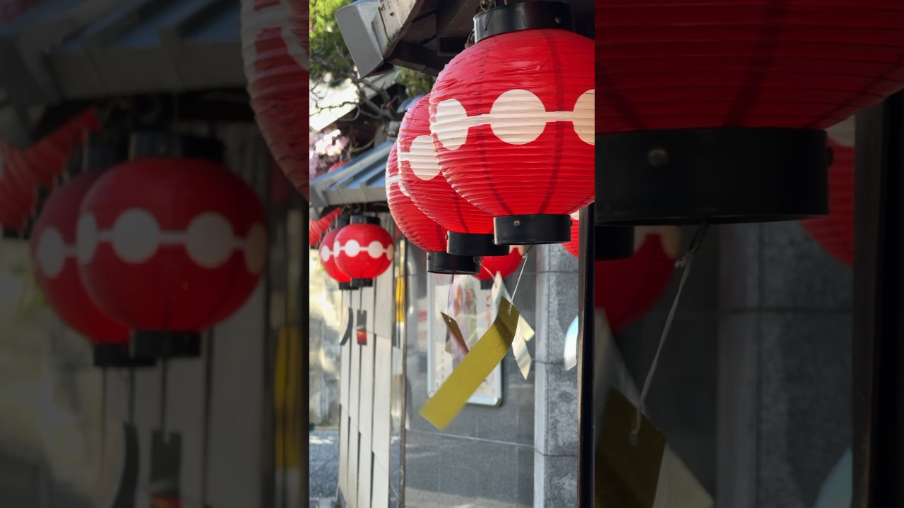 Kyoto Kitano Odori 北野をどり 