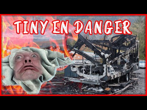 Tiny house : incendie, Ikea et projet de dingue : l'actu en novembre 2020