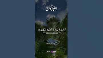 تلاوة عذبة من الشيخ محمد أحمد حسن تنقلك لعالم من الصفاء 🌸🤍