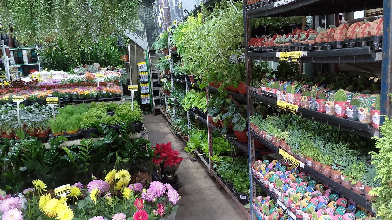 Plantas CADEG Mercado municipal bem Fica R J 