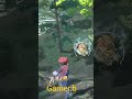 Catching an Alpha Pokémon in Legends Arceus! 🎯