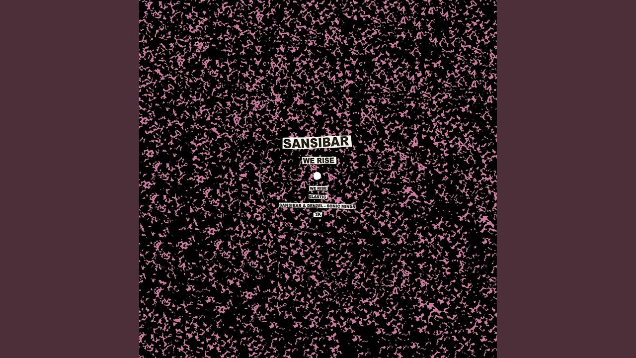 Sonic Minds (feat. Denzel)