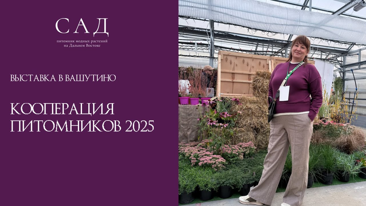 Выставка в Вашутино: кооперация более 140 питомников. Интервью с партнерами, большой обзор 