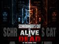 Is Schrodinger's Cat Alive AND Dead? (Quantum Physics)