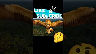Flying Lionhawk(Lion+ Hawk)#animals #viralvideo #cat #trending #video #viralshorts #viralshort #art