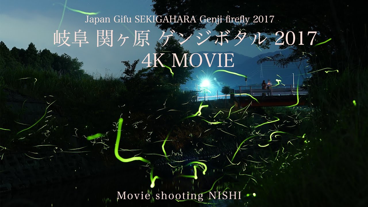 世界的にも希少種 日本の 源氏 と 平家 ホタルの雑学 Diggity Info