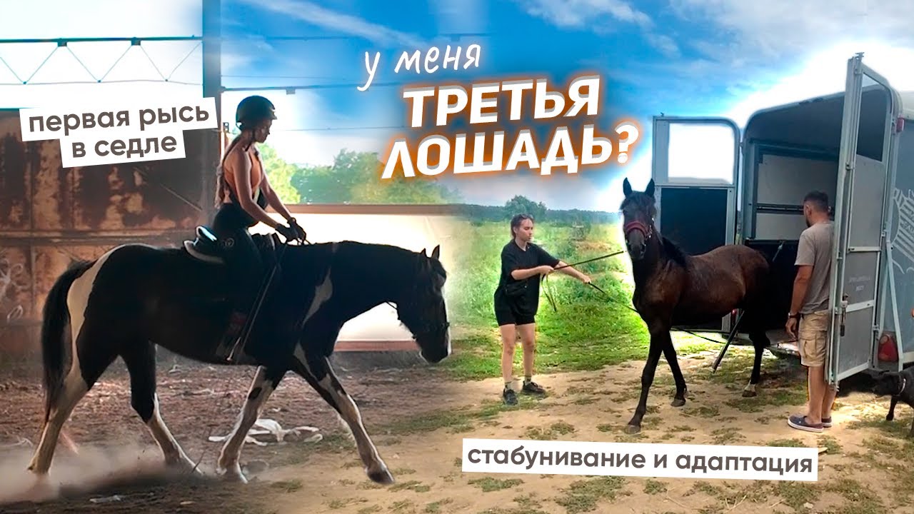ПЕРЕЕЗД жеребёнка / Первая РЫСЬ на Хардине В СЕДЛЕ!
