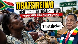 MaZimba oshaya kwekuenda, President tibatsireiwo tatambura