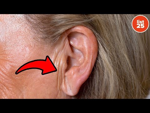 25 More Incredible Human Body Facts