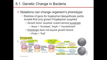 Chapter 8 part 1 microbiology nester sandburg