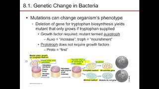 Chapter 8 part 1 microbiology nester sandburg
