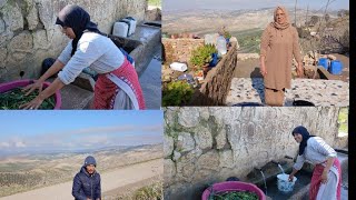 Download Lagu شوفوا الشهوه علاش جاتني احسن حاجه تجي وتلقي الضياف في الدار MP3