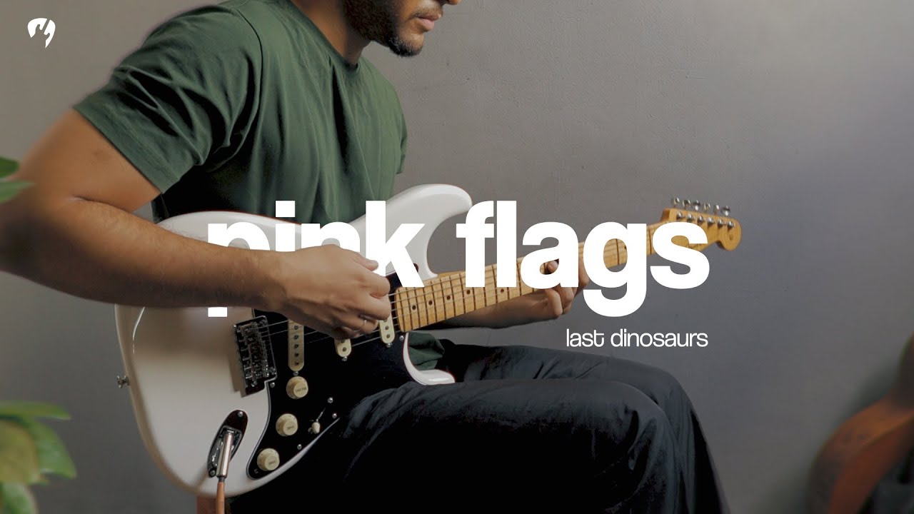 Pink Flags - Last Dinosaurs (Guitar Cover)