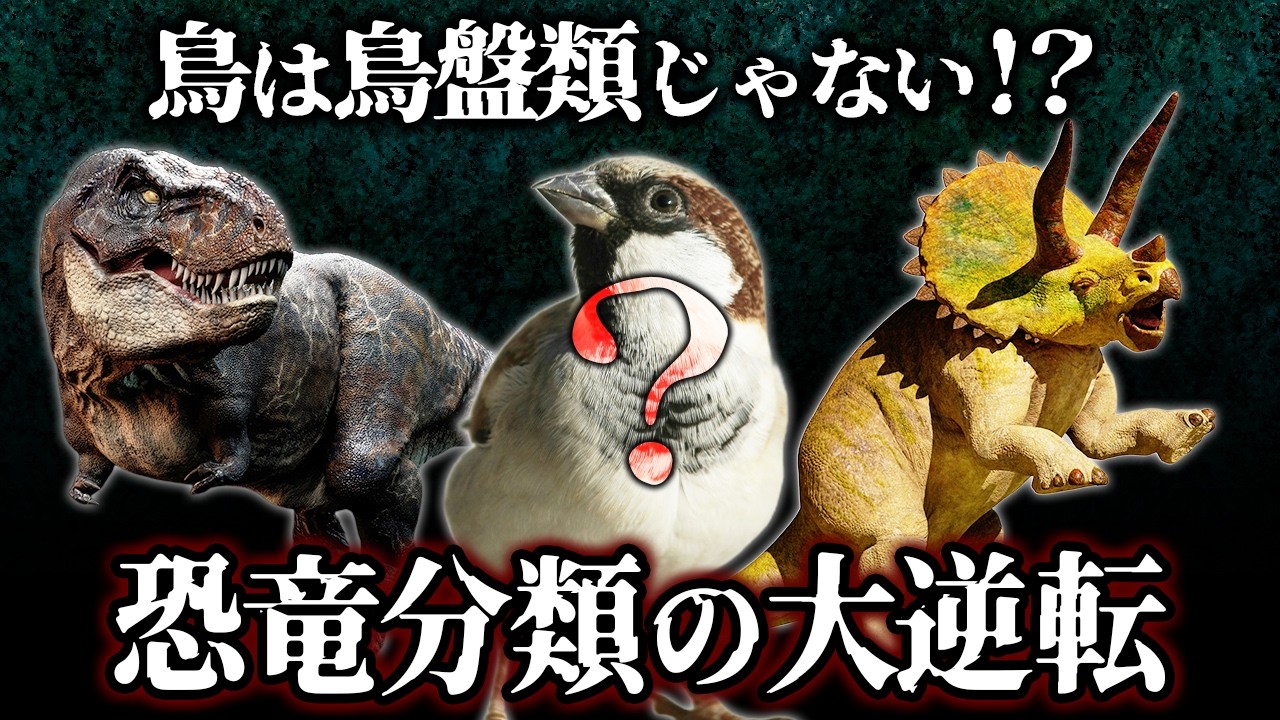 【ゆっくり解説】恐竜の分類は“見た目”じゃない！？化石が語る驚きのルールとは？