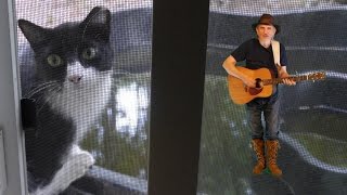 Bella - A song for all cat, dog, or pet lovers by Bird Youmans chords