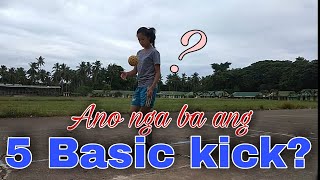 SEPAK TAKRAW BASIC KICK || Fel & Mic TV