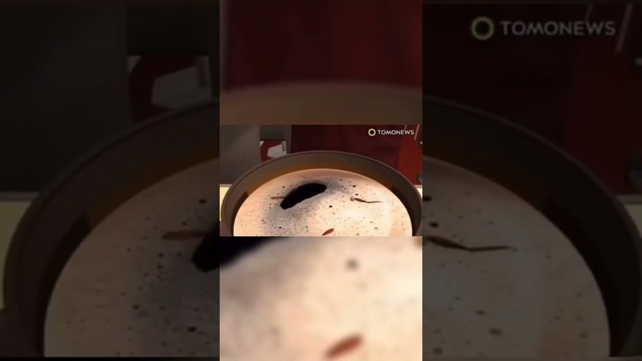 The Most Disgusting Case 