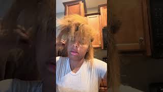 IMG 4952
