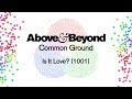 Above  beyond  is it love 1001