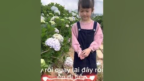 Tham quan vườn hoa cẩm tú cầu