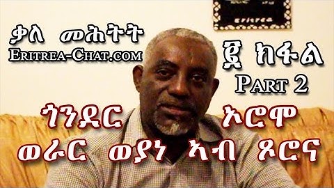 Eritrean Interview About Werar Weyane in Tzorona - Protest of Oromo and Amhara in Ethiopia - Part 2