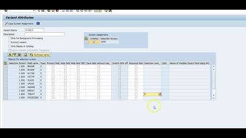 SAP Security - Table Varient