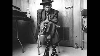 John Lee Hooker  - Never Get Out Of These Blues Alive