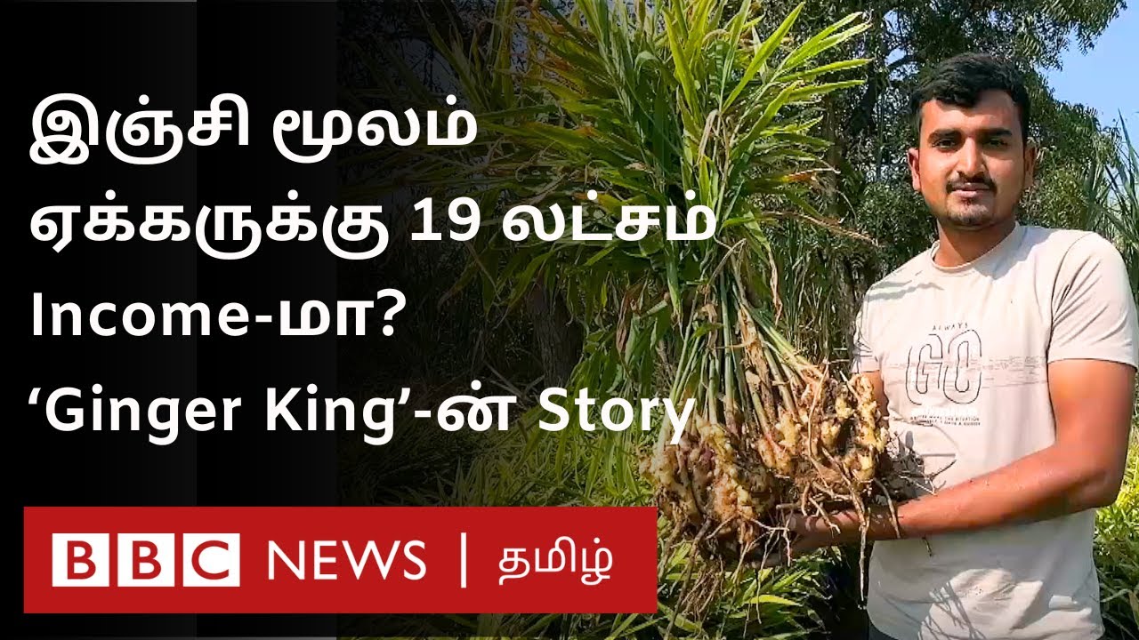 இஞ்சியில் லட்சங்களில் சம்பாதிக்கும் இளைஞர்; யார் இந்த 25 வயது 'Ginger King'?