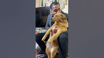 لما تحاول توصل للي قدامك لازم يخس Mocha ZiadRahal RahalAcademy يا بطاطس Fanuuypets 