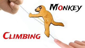 How to make a climbing monkey with cardboard | Easy science project