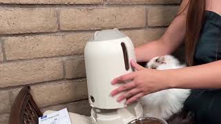 Papifeed Smart Automatic Cat Feeders