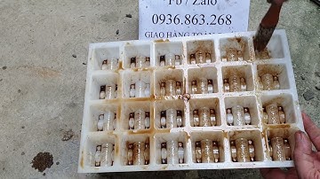 Cách đúc con kê bê tông từ A đến Z nhanh đẹp