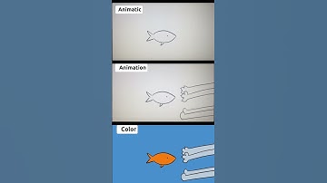 Animation process #animation #animations #process