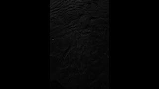 Download Lagu Egzod \u0026 Neoni - the revolution (REMIX) MP3