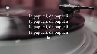 Gica Petrescu - Costica, Costica (versuri, lyrics, karaoke)