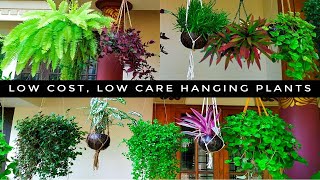 Long Lasting,Low Care Hanging Plants | Home garden | Indoor Plants(Malayalam)