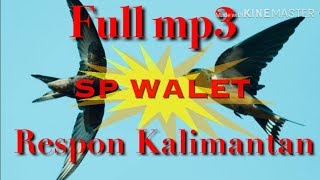 Suara panggil burung Walet super sedot Walet tetangga full mp3