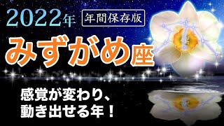 みずがめ座さんへ☆星からのメッセージ【2022年保存版】