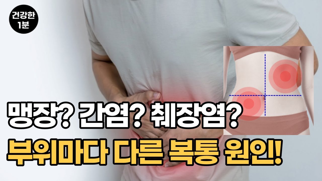 배 아파요? 어디가 아픈지 알면 어떤 질병인지 알 수 있다! - YouTube