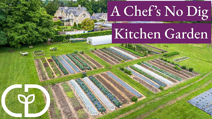 Hotel chef creates amazing garden